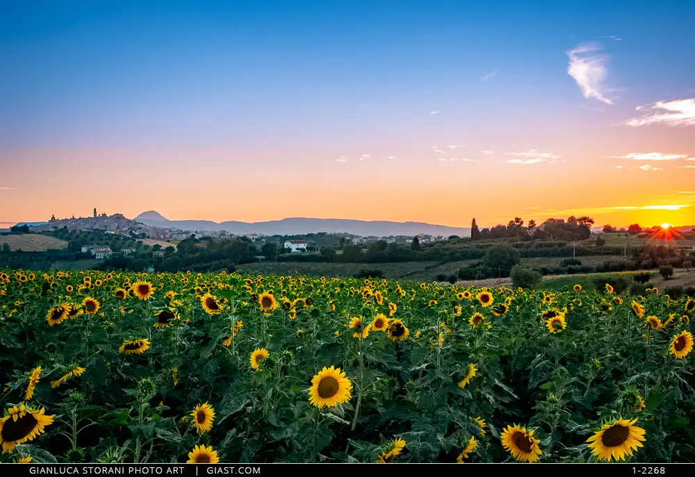 Paesaggio estivo maceratese