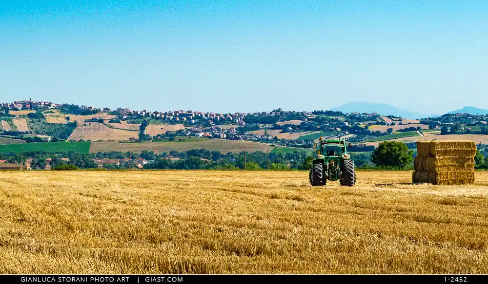 Campagna maceratese d'estate