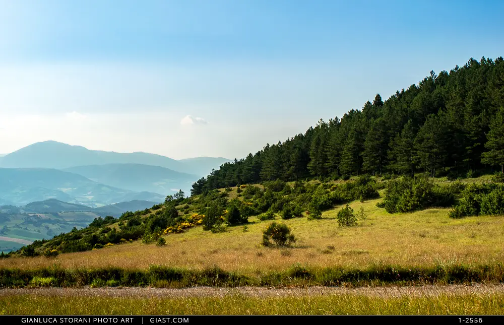 Altopiani di Fiordimonte