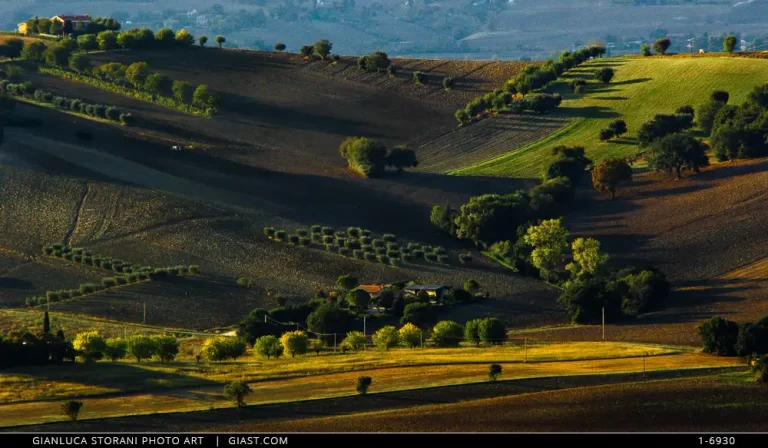 The Macerata countryside at the end of summer