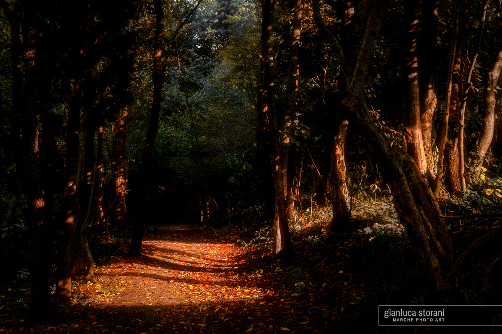 La notte oscura dell'anima - Gianluca Storani Photo Art (ID: 3-0855)