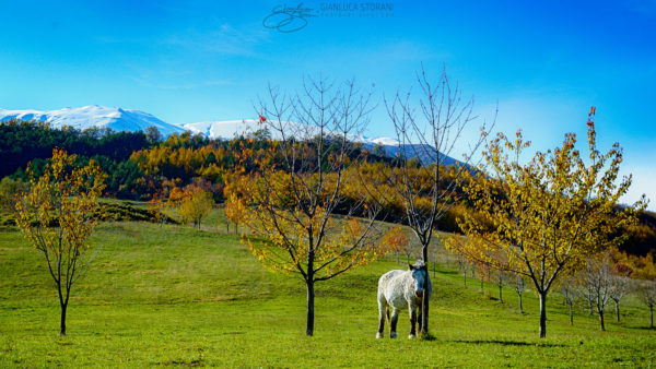 Scorcio d'autunno sui Sibillini - Gianluca Storani Photo Art (ID: 4-6112)