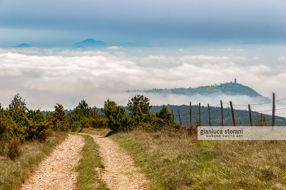 OniricScape - Gianluca Storani Photo Art (ID: 2-5631)