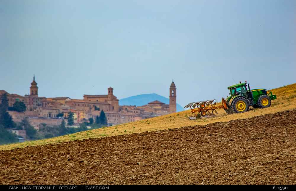 Su per il colle - Gianluca Storani Photo Art (ID: 6-4590)