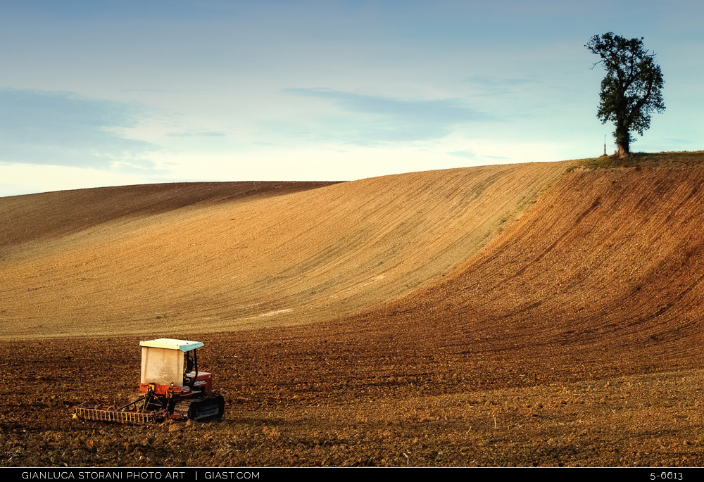 Colline Novembrine - Gianluca Storani Photo Art (Cod. 6-6613)