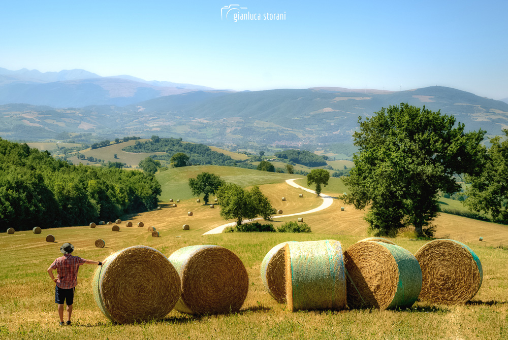 In questa foto il bellissimo panorama della Collina dei ciliegi nelle campagne di San Severino Marche.