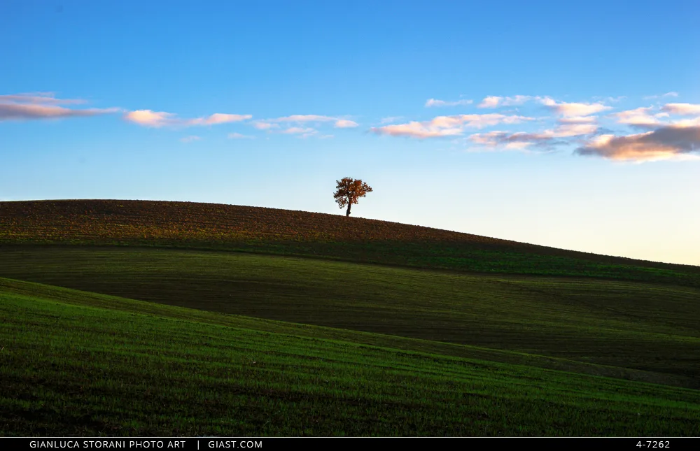 Paesaggio di collina