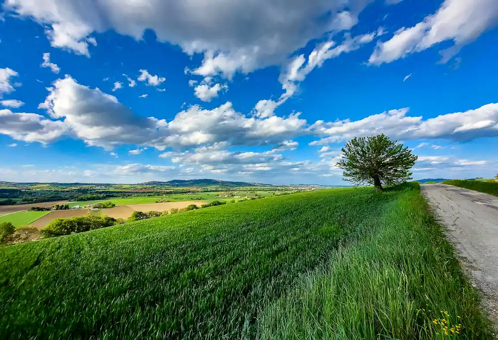 Paesaggio maceratese da sopra una collina